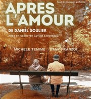 Après l'amour Thtre du Gouvernail Affiche