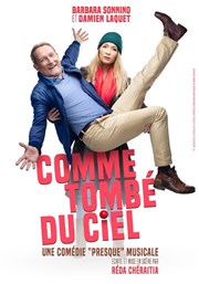 Comme tombé du ciel Thtre Lulu Affiche