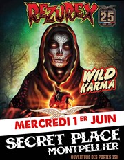 Rezurex + Wild Karma Secret Place Affiche