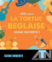 La Tortue Béglaise L'ATN Affiche