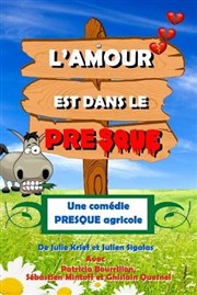 L'amour est dans le presque La Boite  Rire Affiche