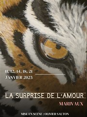 La surprise de l'amour Thtre Stphane Gildas Affiche