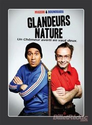 Les Glandeurs Nature Pniche Thtre Story-Boat Affiche