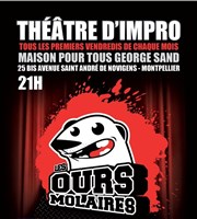 La rentrée des Ours Molaires Maison pour tous George Sand Affiche