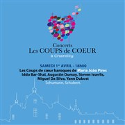 Les coups de coeur à Chantilly | Maria João Pires #1 Domaine de Chantilly Affiche