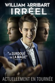 William Arribart dans Irréel Espace Jacques Villeret Affiche