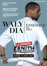 Waly Dia dans Ensemble ou rien Znith de Paris Affiche