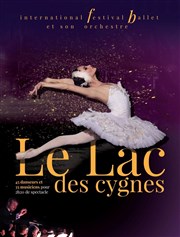 Le lac des cygnes | Toulouse Znith de Toulouse Affiche