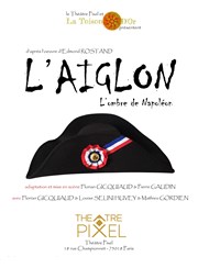 L'Aiglon Thtre Pixel Affiche