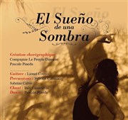 El Sueño de una Sombra Thtre El Duende Affiche