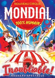 Cirque Mondial 100% Humain dans Inoubliable ! - Dijon Chapiteau Cirque Mondial Dijon Affiche