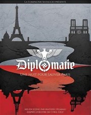 Diplomatie Thtre des Voraces Affiche