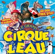 Le Cirque sur l'Eau | - Royan Chapiteau Le Cirque sur l'eau  Royan Affiche