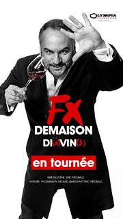 FX Demaison dans Di(x)Vin(s) Le K Affiche