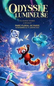 L'Odyssée lumineuse Parc Floral de Paris Affiche