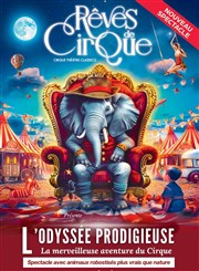 Rêves de Cirque dans L'Odyssée Prodigieuse | Montpellier Rves de Cirque Affiche