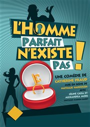 L'homme parfait n'existe pas ! La Comdie du Mas Affiche