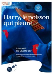 Harry, le poisson qui pleure Thtre Divadlo Affiche