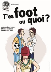 T'es foot ou quoi ? La Comdie des Suds Affiche