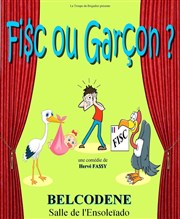 Fisc ou Garçon ? L'Ensoleado Affiche