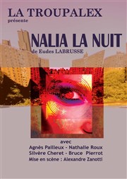 Nalia la nuit Thtre de l'Intervalle Affiche