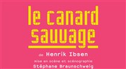 Le Canard sauvage Thtre National de la Colline - Grand Thtre Affiche