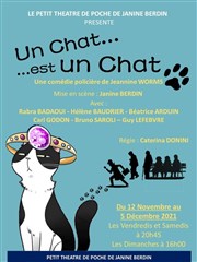 Un Chat est un Chat Le Petit Thtre de Poche Affiche