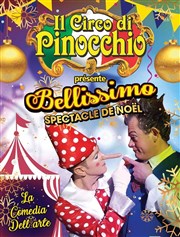 Il circo di Pinocchio Il Circo di Pinocchio Affiche