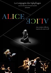 Alice Art Studio Thtre Affiche