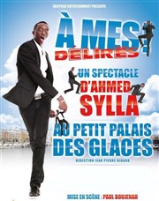 Ahmed Sylla dans A mes délires ! Petit Palais des Glaces Affiche