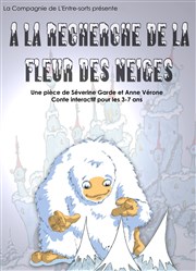 A la recherche de la fleur des neiges Akton Thtre Affiche