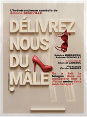 Délivrez-nous du mâle La Nouvelle comdie Affiche