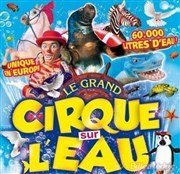 Le Cirque sur l'Eau | - Calvi Chapiteau Le Cirque sur l'eau  Calvi Affiche