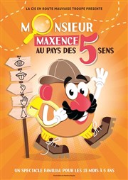 Monsieur Maxence au pays des 5 sens Auditorium Louvire Affiche