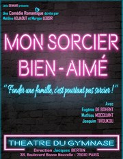 Mon sorcier bien aimé Studio Marie Bell au Thtre du Petit Gymnase Affiche