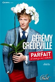 Gérémy Credeville dans G parfait et modeste L'Entrepot Affiche