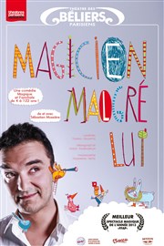 Magicien malgré lui Thtre des Bliers Parisiens Affiche