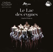 Le lac des cygnes | Un dimanche à l'opéra Le Forum Affiche