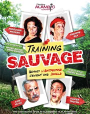 Training Sauvage... Quand l'entreprise devient une jungle ! Alambic Comdie Affiche