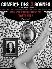 Mais n'te promène donc pas toute nue Comdie des 3 Bornes Affiche