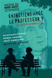 Entretiens avec le Professeur Y Thtre du Nord Ouest Affiche