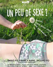 Béatrice Laout dans Un peu de sexe? Merci, juste pour vous être agréable ! La Chocolaterie Affiche