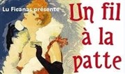 Un fil à la patte Thtre Bellecour Affiche