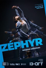 Zephyr Thtre Le 13me Art - Grande salle Affiche