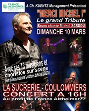 Le Grand Tribute Michel Sardou : Merci Michel La Sucrerie Affiche