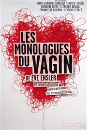 Les monologues du vagin Thtre Georges Galli Affiche