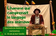 L'homme qui comprenait le langage des animaux Aux 26 LanterneS Affiche