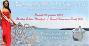 Mademoiselle Île De France 2016 Thtre Silvia Monfort Saint-Brice Affiche