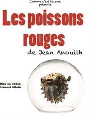 Les poissons rouges Thtre de Nesle - grande salle Affiche