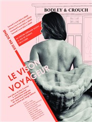 Le vison voyageur Thtre Stphane Gildas Affiche